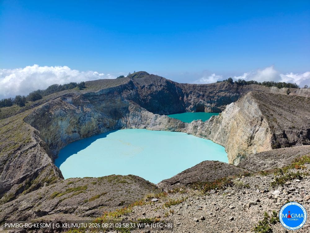 Dampak Gempa Bumi Flores Bagi Pelaku Pariwisata